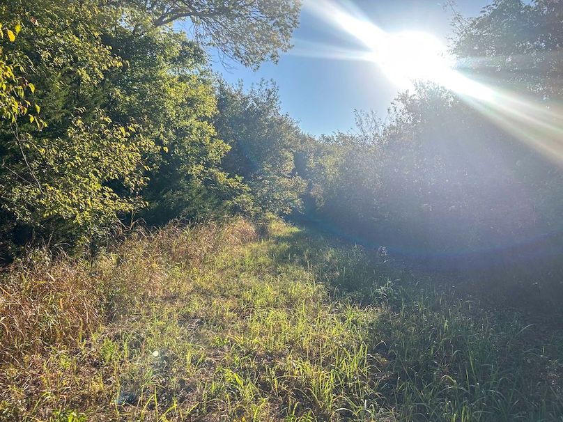 Lamar County- 93 acre reshoot (33 of 38)