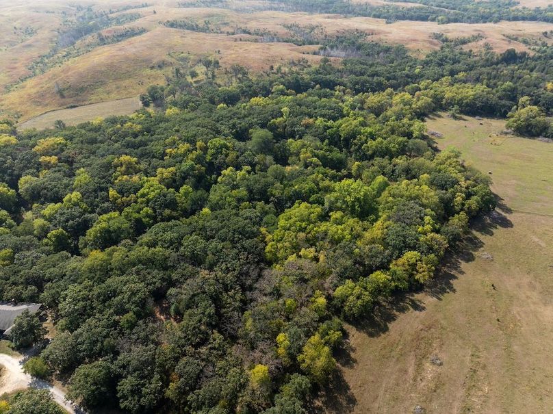 20240913-DJI_20240913105545_0123_D