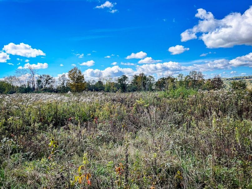 Tompkins_30.32_Hildreth_Estate_Phoros_30