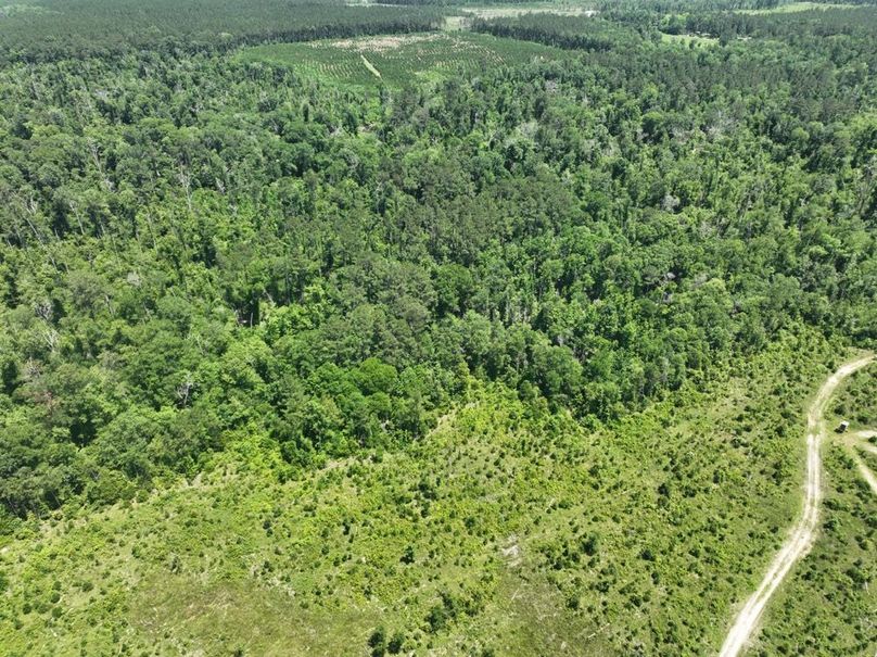 dji_fly_20250522_160040_210_1747959349305_photo