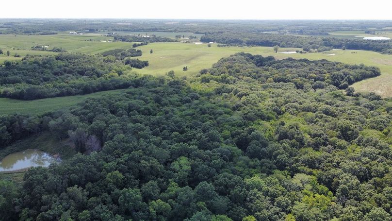 dji_fly_20240801_160900_967_1722546548961_photo_optimized