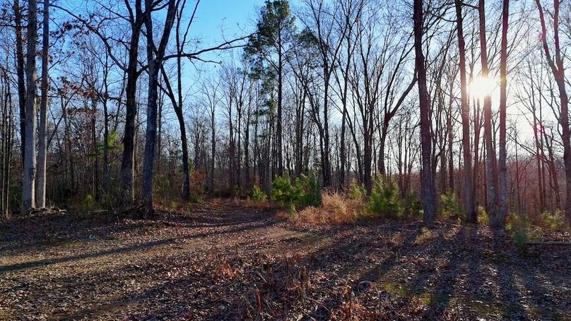 DRONE.00_10_28_07.Still029