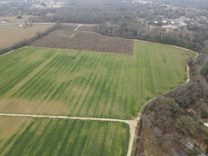 dji_fly_20260106_103130_773_1767987378547_photo