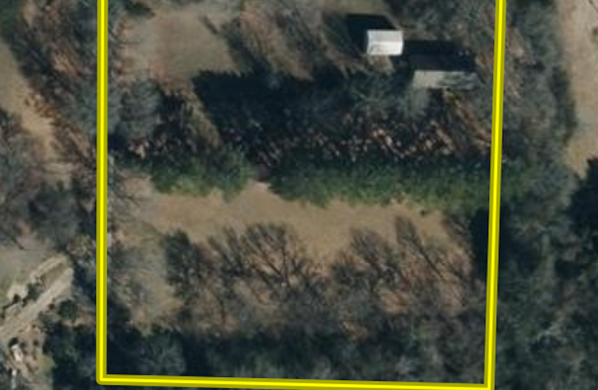 Screenshot 2025-04-01 at 12.01.13 PM