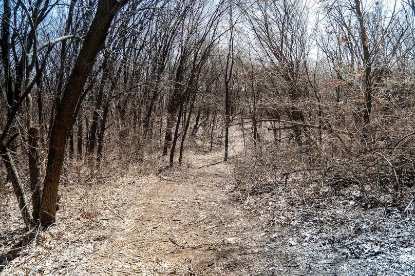 Whiteside IL 49.22_33