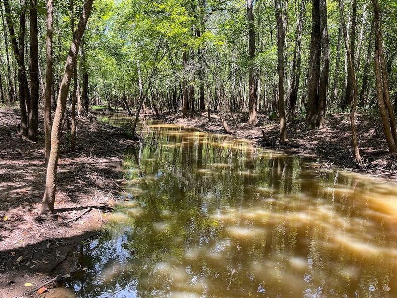 21 Leon Co. 117ac-51