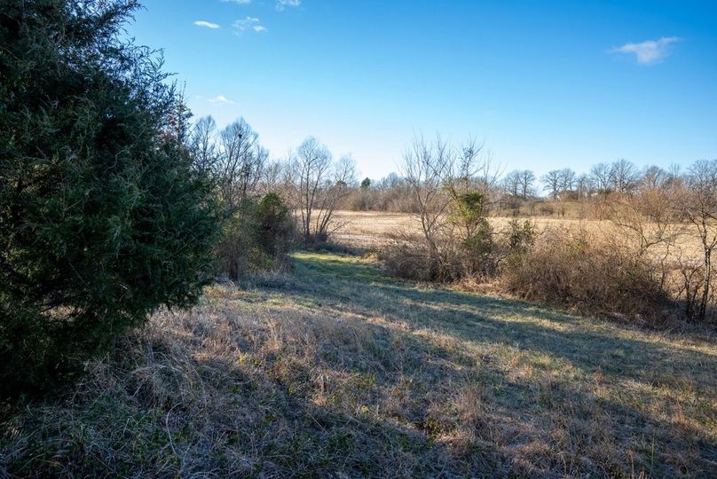 Copy of DSC00673 Large