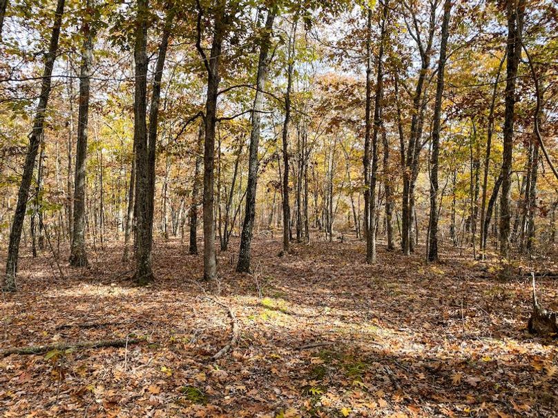 ReservoirHill_2019__ss_-24