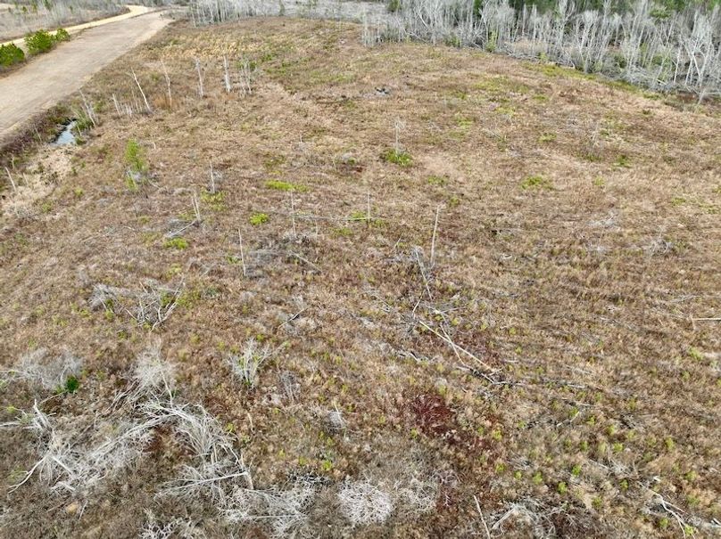 dji_fly_20260211_113822_287_1770828252263_photo