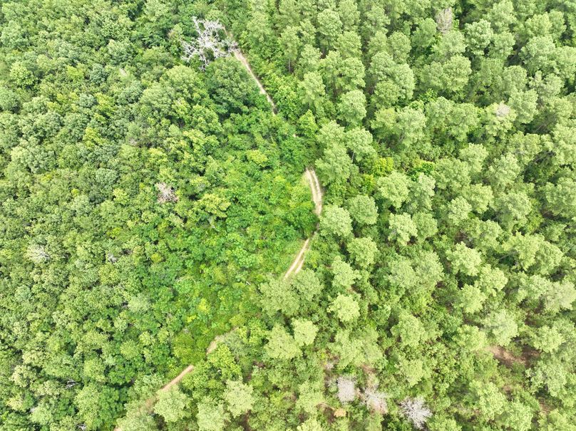 dji_fly_20230703_134208_349_1688406261365_photo