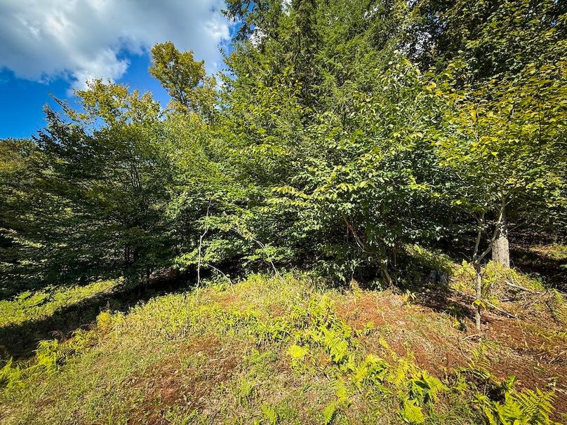 Oswego NY 18.18 Martin Photos 18