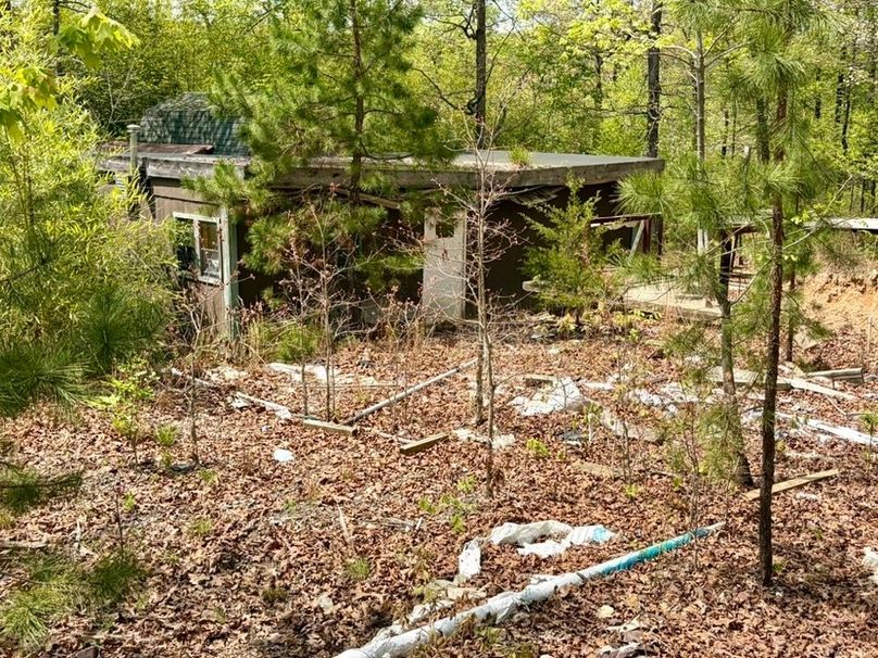 A38D450F-03F5-4812-B48A-9398B0FB015D_1_105_c-2