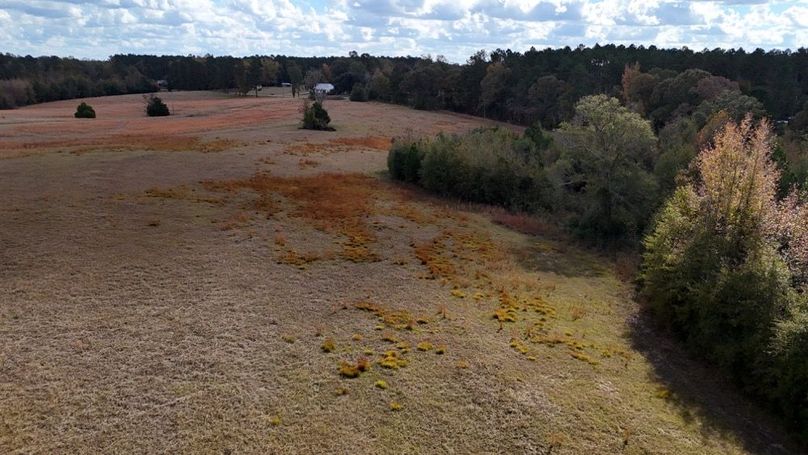 DJI_20251115022319_0885_D - Copy