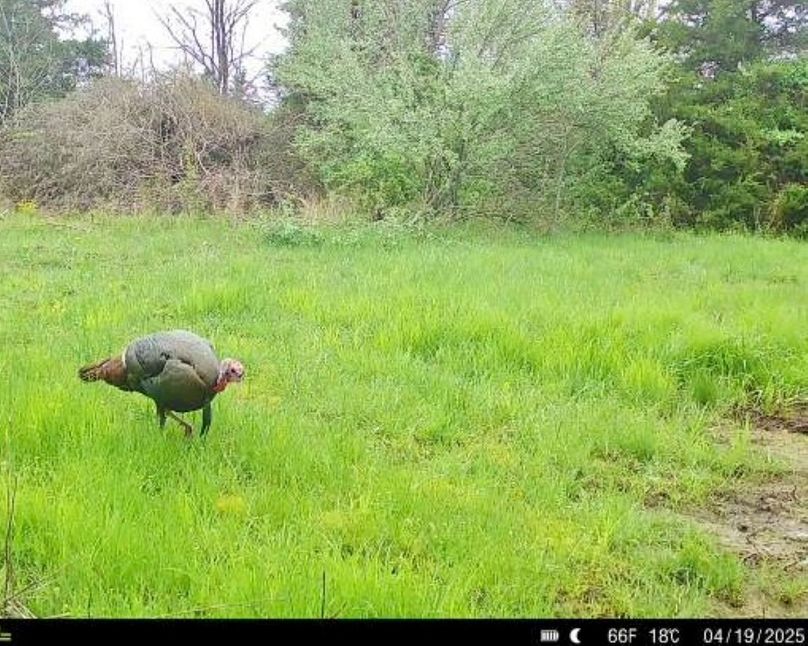 864049058894066-100-4-04192025151152-V-W1025893