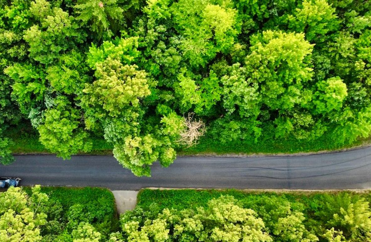 dji_fly_20250624_195234_883_1750813926360_photo_optimized