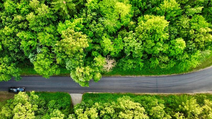 dji_fly_20250624_195234_883_1750813926360_photo_optimized
