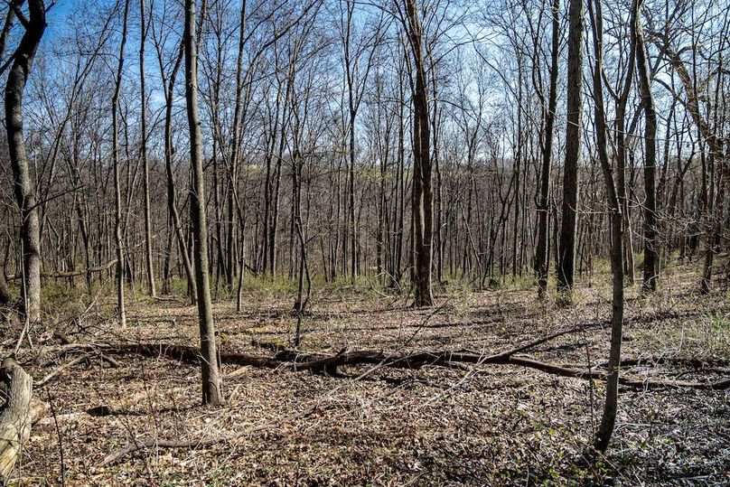 Jo Daviess IL 23.5_23