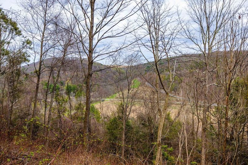 53-web-or-mls-IMG-53