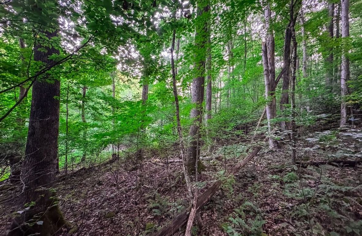 Webster, WV 42 AC Barger-05