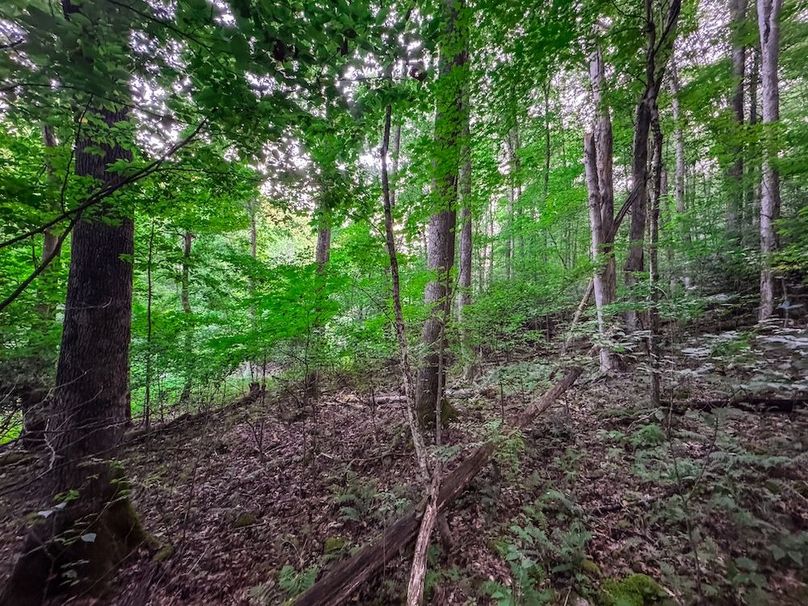 Webster, WV 42 AC Barger-05