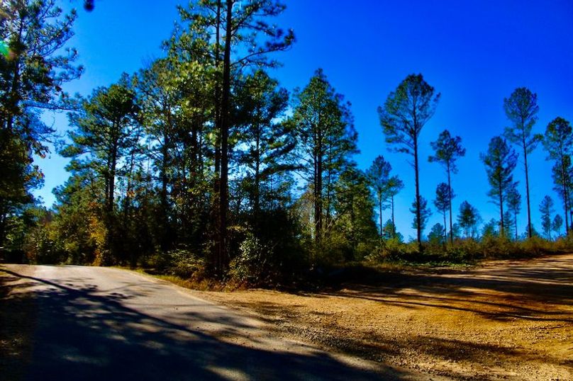 55C780C9-A257-4B47-9C11-976FCCF1CD8E_1_201_a