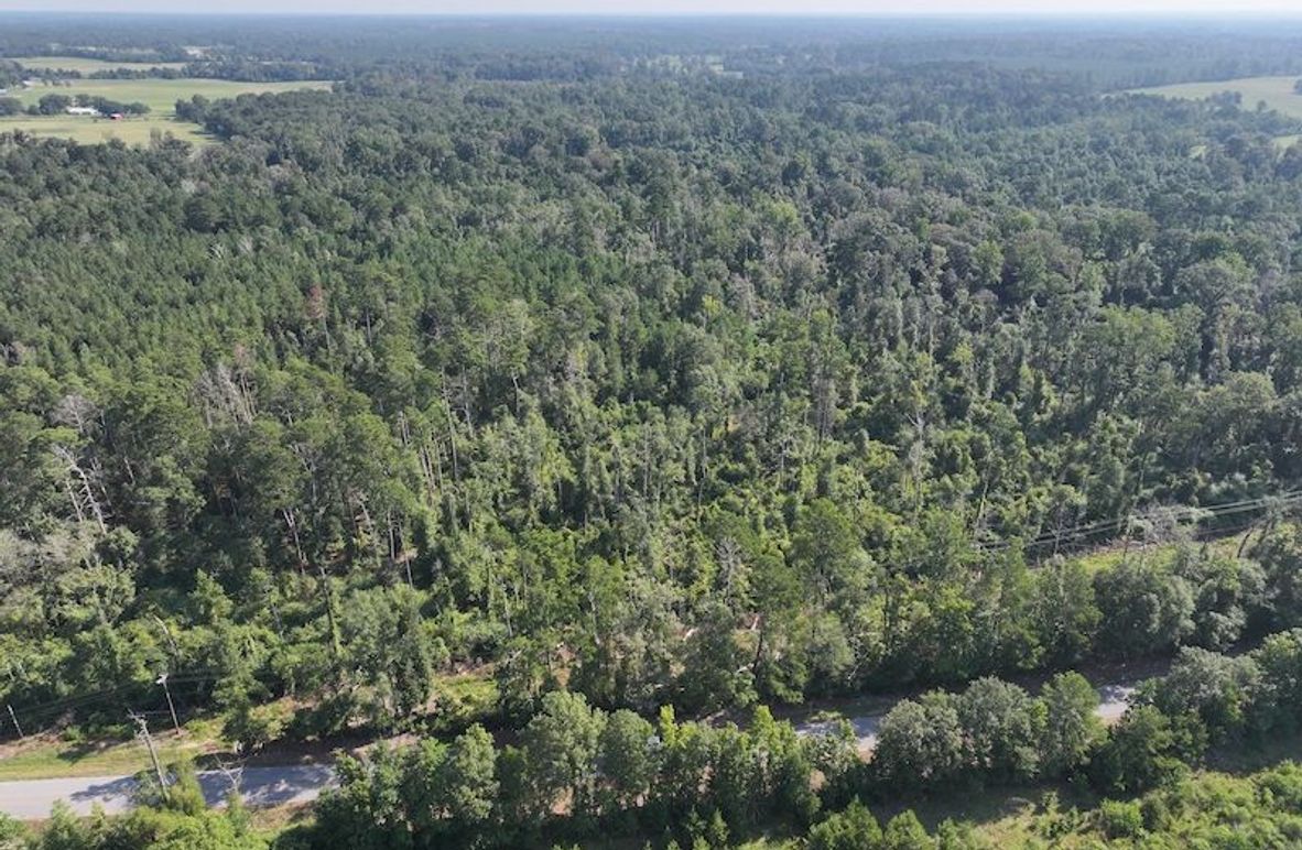 dji_fly_20250818_094818_0356_1755614661240_photo