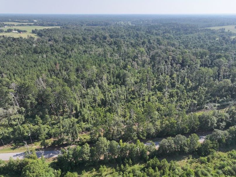 dji_fly_20250818_094818_0356_1755614661240_photo