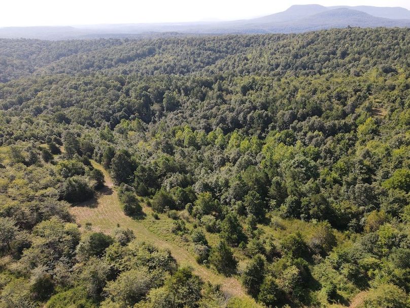 dji_fly_20240808_095200_298_1723128729351_photo