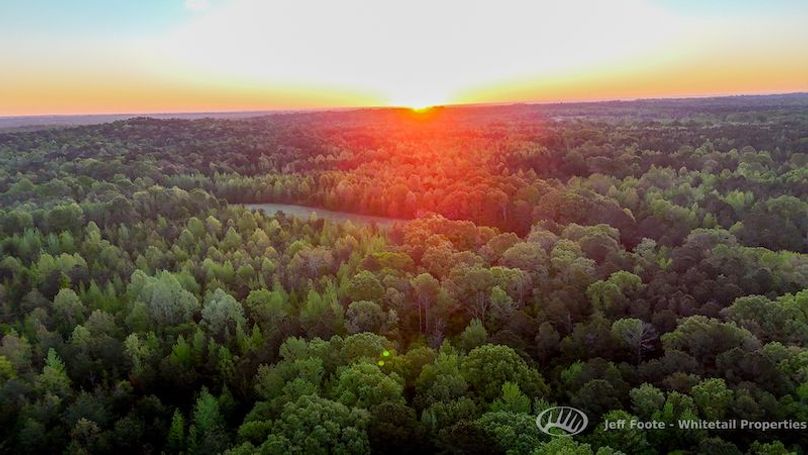 Hinds Co - 51 - Hughes-63