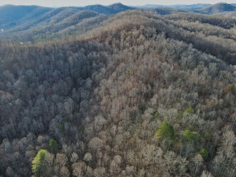 026 overhead view looking into the hollow -2