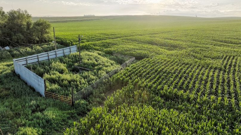 Copy of Copy of DJI_0392