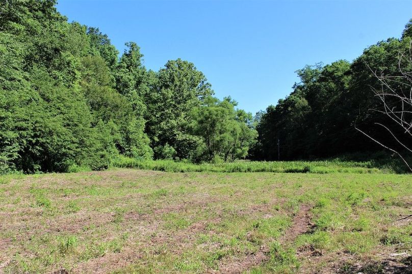 005 the open field bottom area perfect for a garden