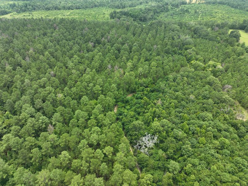 dji_fly_20230703_134300_352_1688406245874_photo