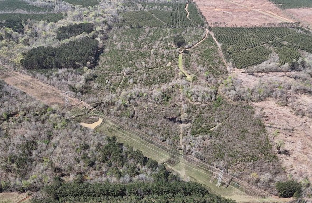 Copy of DJI_20260314015811_0113_D