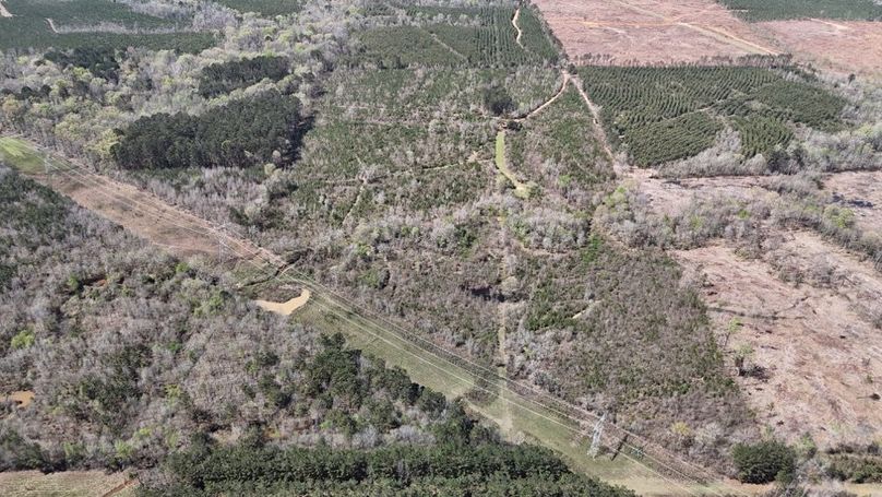 Copy of DJI_20260314015811_0113_D