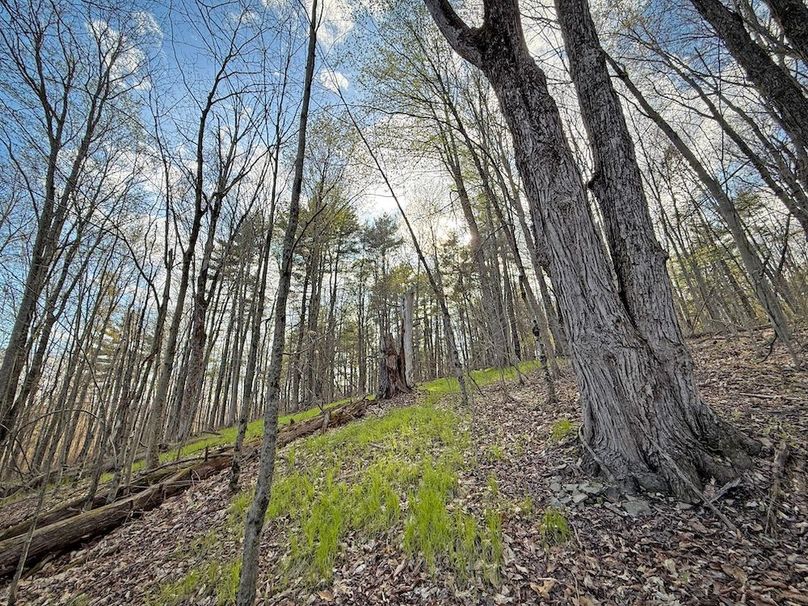 Chemung_59.8_Currier_photos_35