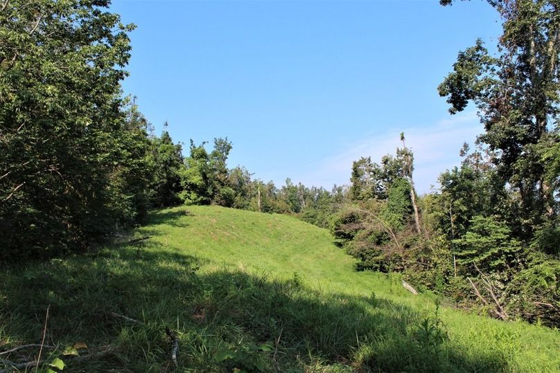 064 the open pasture area along the south ridge of the farm