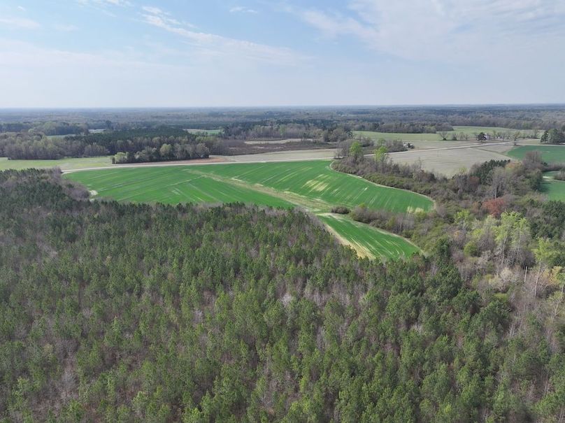 Copy of DJI_20260303064003_0560_D