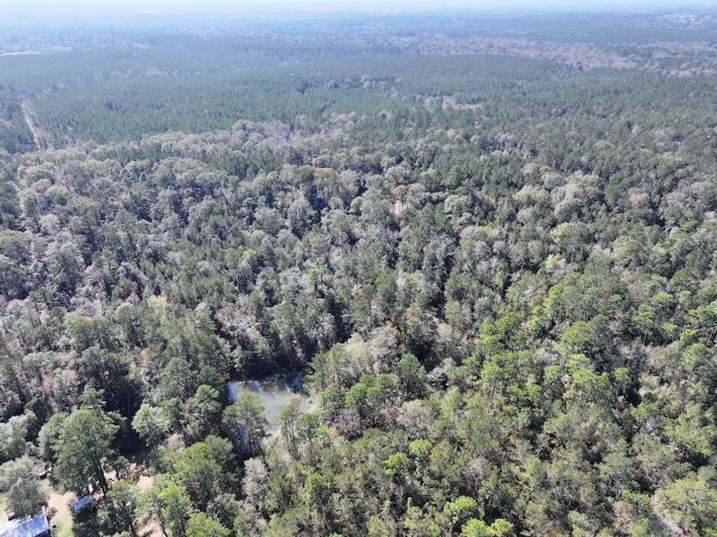 dji_fly_20251209_121818_0759_1765308500708_photo