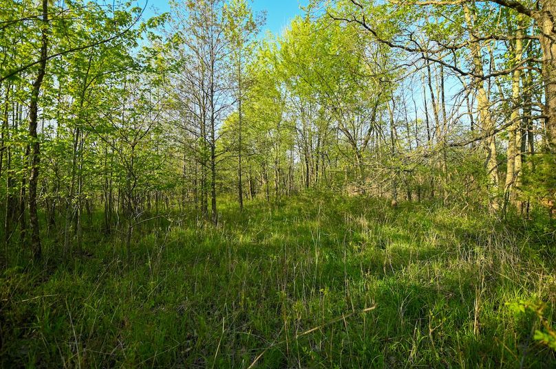 vandalia 450 (2)-2997