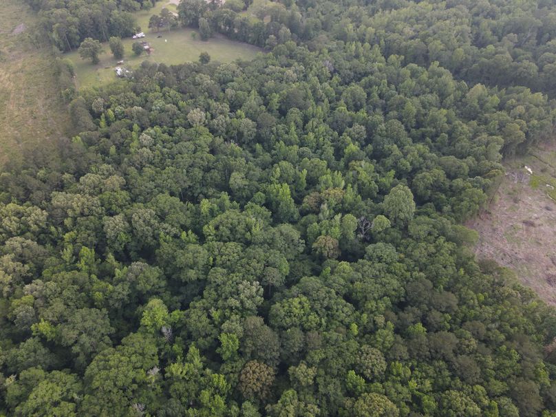 DJI_0860