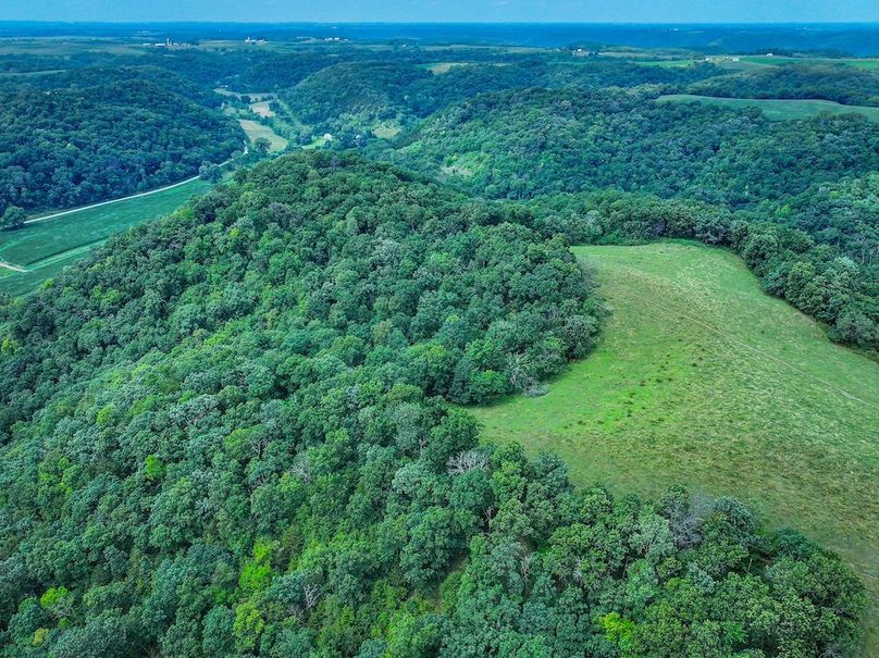 New Albin 8_8 edits-14