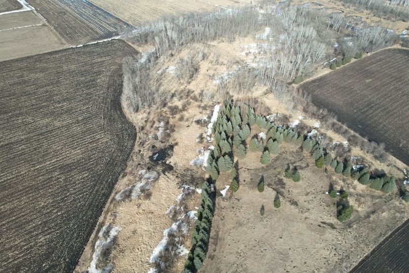 dji_fly_20260319_161330_123_1773955110983_photo