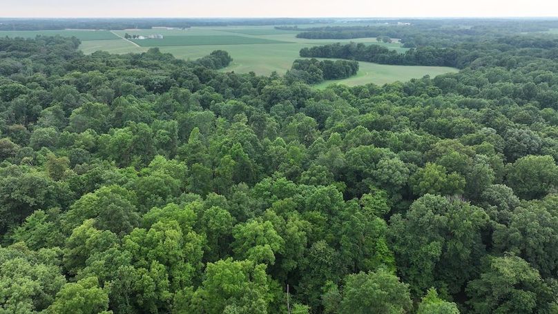 dji_fly_20240629_124042_0219_1719679396437_photo