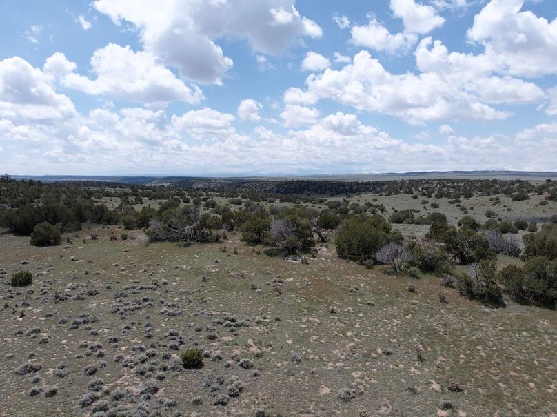 DJI_20250508124524_0064_D