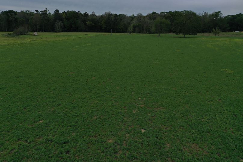 DJI_0923