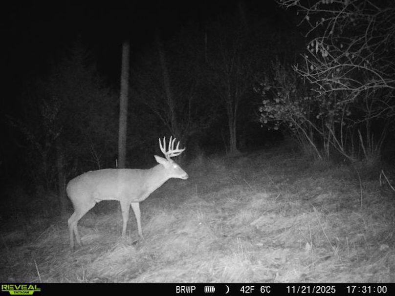 860322065924133-100-4-11212025173100-W1001285