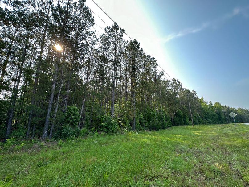 Clay County, MS 17.5+_- Jennings-06