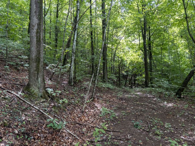 15_36.85_Pocahontas_WV