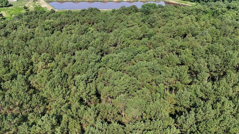 DJI_20250627094738_0094_D